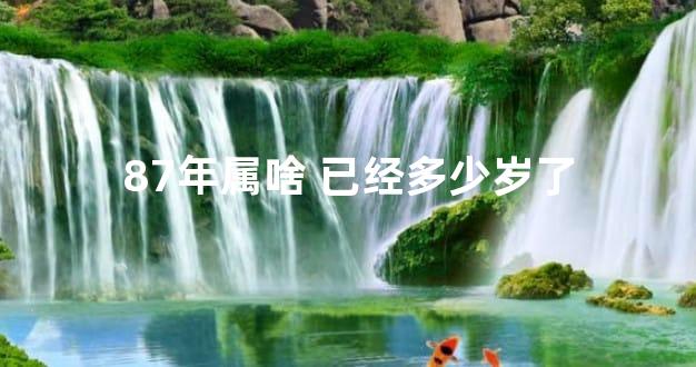 87年属啥 已经多少岁了